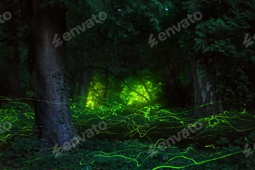Preview: Fairytale scene fireflies night forest