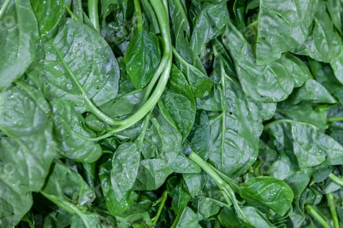 Preview: Fresh organic spinach at the market
vegan, vegetarian, vegan food, vegetarian food