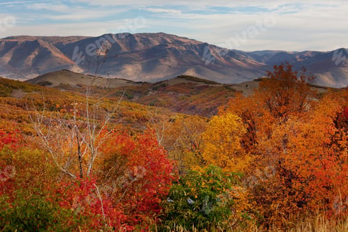 Preview: Autumn mountains