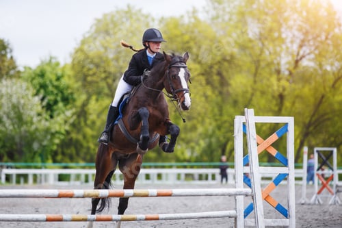 Preview: Young woman riding horseback jumping over the hurdle on showjumping course