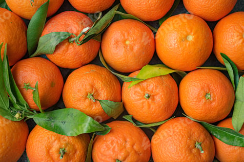 Preview: Oranges aligned shot from above