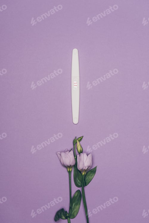 Preview: top view of arranged pregnancy test and flowers with green leaves isolated on purple