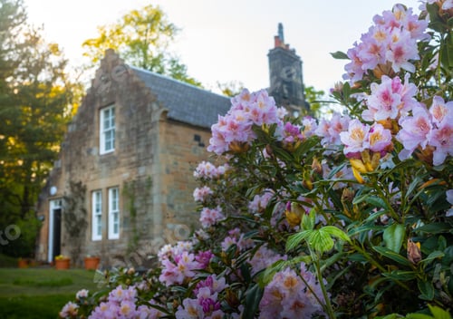 Preview: Idyllic English Rural Cottage