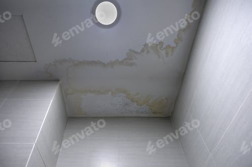 Preview: Mildew stains at ceiling