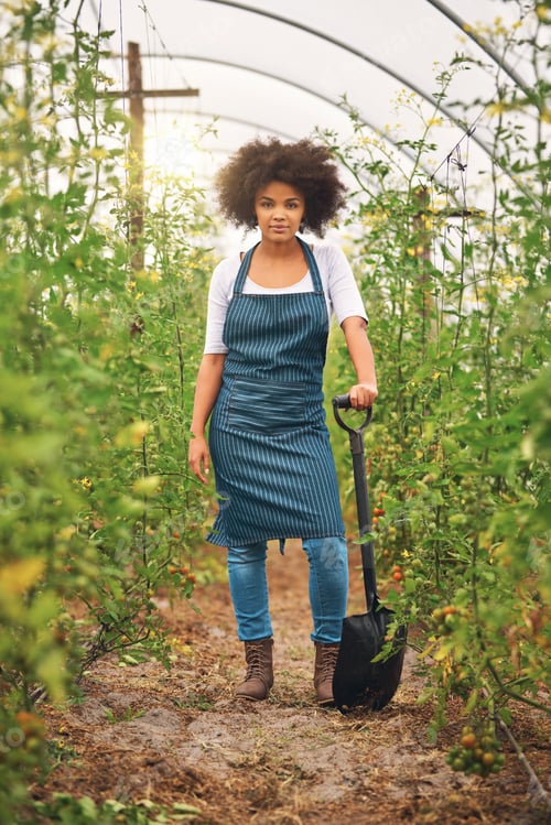 Preview: Full length shot of an attractive young female farmer standing in a vineyard with a shovel