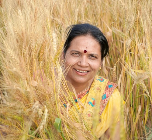 Preview: Beautiful young Indian woman wear in saree at the wheat field