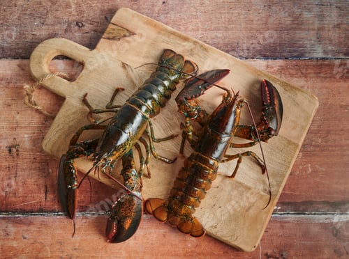Preview: Two fresh lobsters resting on wooden cutting board