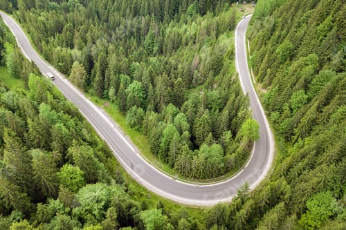 Preview: Top down aerial view of winding forest road in green mountain spruce woods