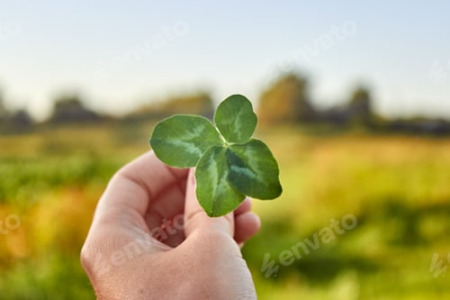 Preview: A hand holds a happy four-leaf clover against the background of nature.