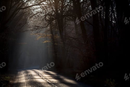 Preview: Sunlight on tree lined road, Birdlip, UK