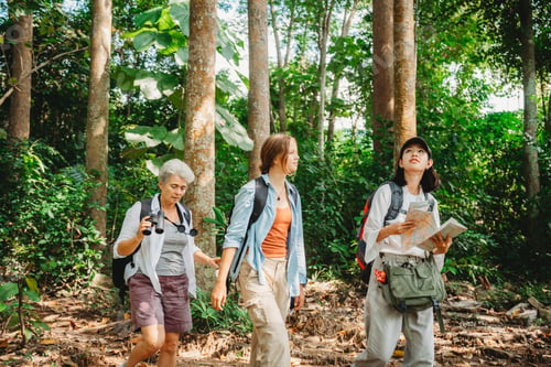 Preview: Young female backpacker group traveling in wild forest, Attractive girl traveler look around