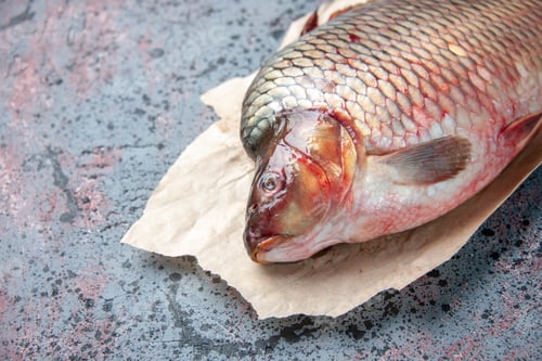 Preview: front view fresh raw fish on blue background meal meat water food ocean horizontal animal seafood
