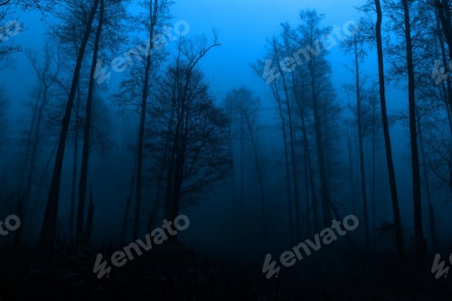 Preview: darkness, forest, horror, spooky