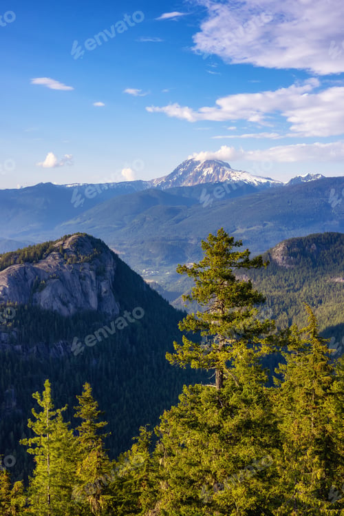 Preview: Rocky Mountain Cliffs and green trees in Canadian Nature Landscape.