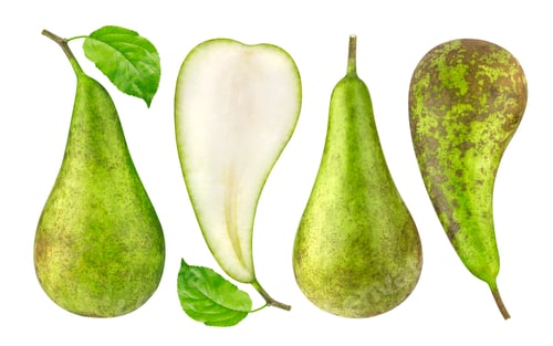 Green conference pears isolated on white