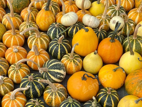 Preview: Pumpkins