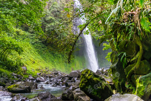 Preview: a waterfall in the middle of a green forest on a rocky stream
