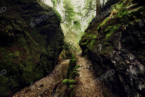 Preview: Rock stream gully in forest