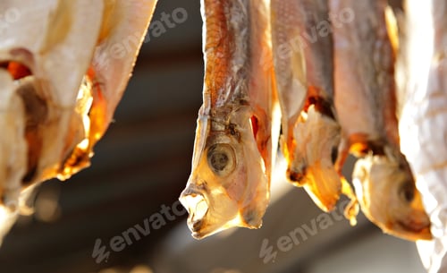 Preview: Dried Fish