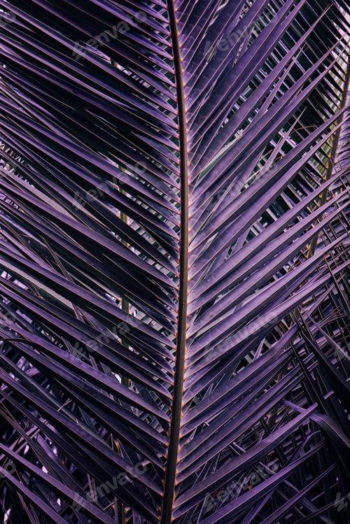 Preview: Abstract pattern of fern leaves arranged in a gradient of deep purple, perfect for wallpapers