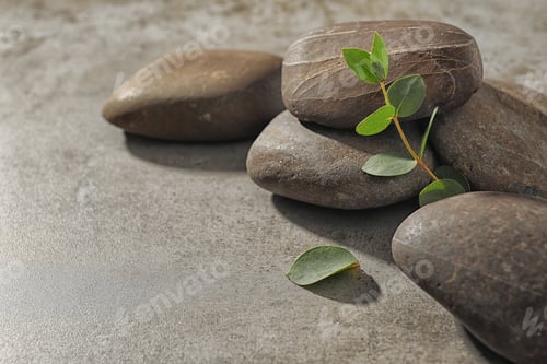 Preview: Spa stones with eucalyptus on color background. Space for text