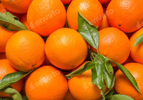 Preview: Tasty valencian oranges freshly collected