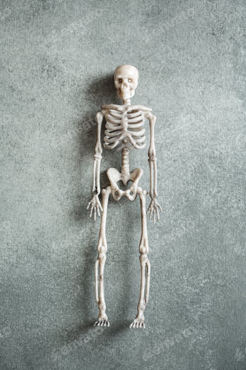 Preview: Little toy skeleton over grey background, minimalistic Halloween concept, top view flat lay