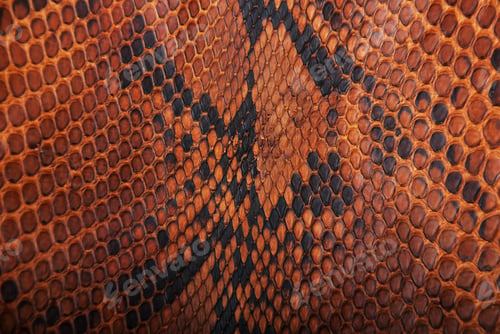 Preview: Brown snake skin pattern