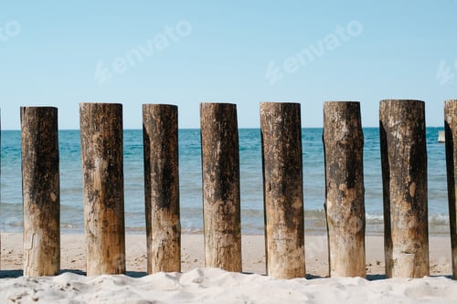 Preview: Wooden poles of breakwater on seashore on sunny summer day, close-up