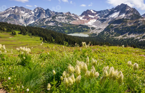 Preview: Mountains in Washington
