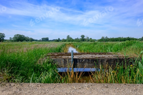Preview: Calm landscape with a stream of standing water, with an old concrete pedestrian bridge over it