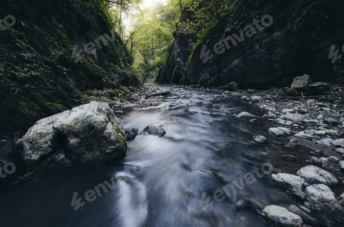 Preview: forest stream in natural canyon with cliffs and trees