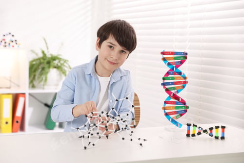 Preview: Boy making DNA structure model at desk indoors