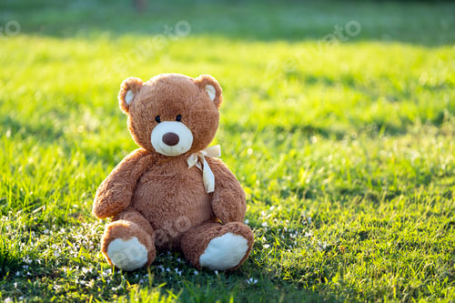 Preview: Concept of childhood. Big plush teddy bear sitting alone on green grass lawn in summer