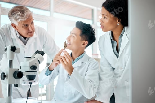 Preview: Shot of a group of scientists analysing a marijuana bud in a lab