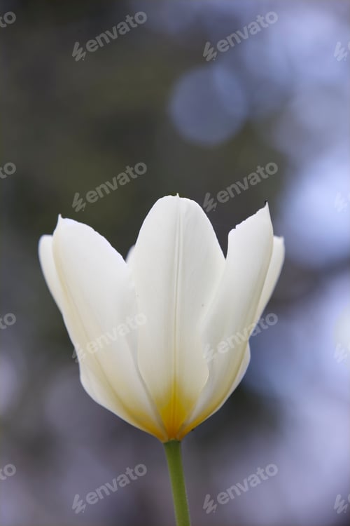 Preview: Adding a little colour to springtime