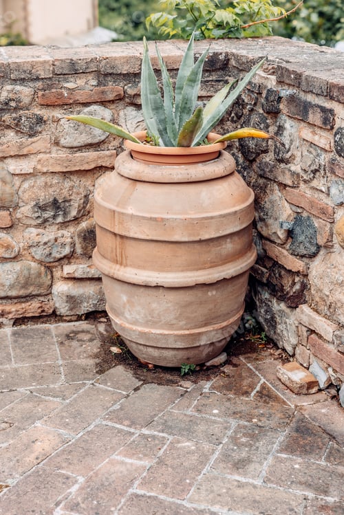 Preview: Agave plant in a clay vase in a balcony setting.