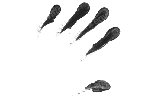 Preview: fingerprint hand palm texture png isolated