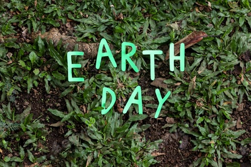 Preview: Earth day lettering on grass