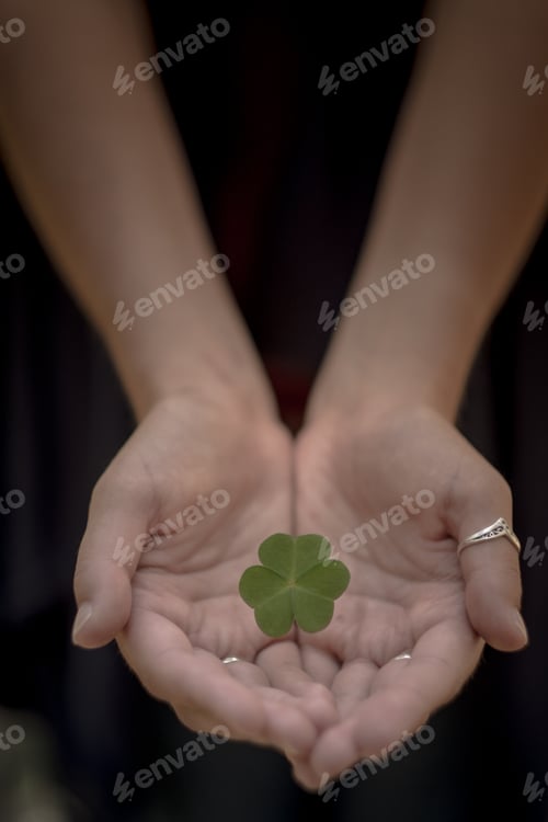 Preview: Clover in female hand in sunny spring day
