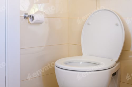 Preview: Toilet seat and roll of paper in restroom