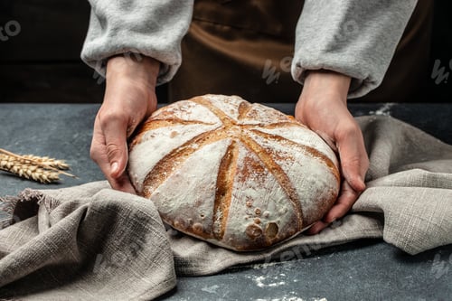 Preview: Female hands holding Homemade sourdough bread. Culinary, cooking, bakery concept