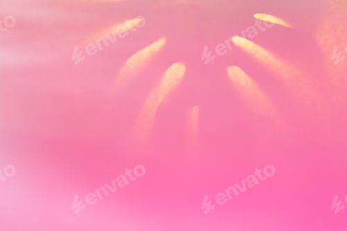 Preview: Tropical leaf monstera shadow in trendy duotone neon backlight. Minimalistic abstract background