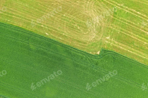 Preview: Splendid aerial photography of green wavy field in sunny day. Top view drone shot.