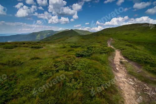 Preview: Panorama of the Chornohirskyi ridge, hiking trails, alpine grass with a beautiful blue sky