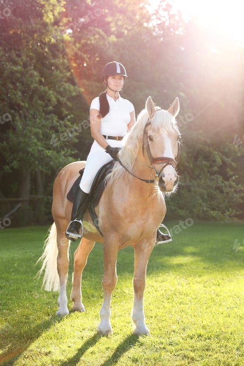Preview: Young woman in equestrian suit riding horse outdoors on sunny day. Beautiful pet