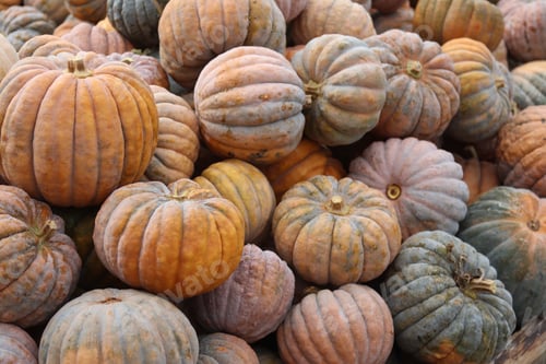 Preview: textured pumpkins close-up