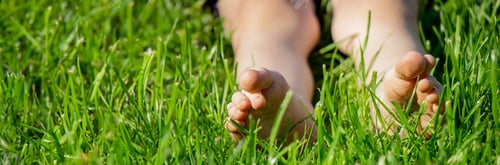 Preview: Children's legs on green grass. Selective focus.