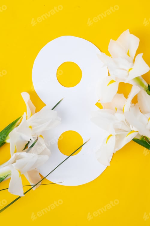 Preview: Mimosa flowers on yellow background