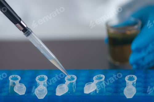 Preview: Pudding Quality Control Inspection in Lab
